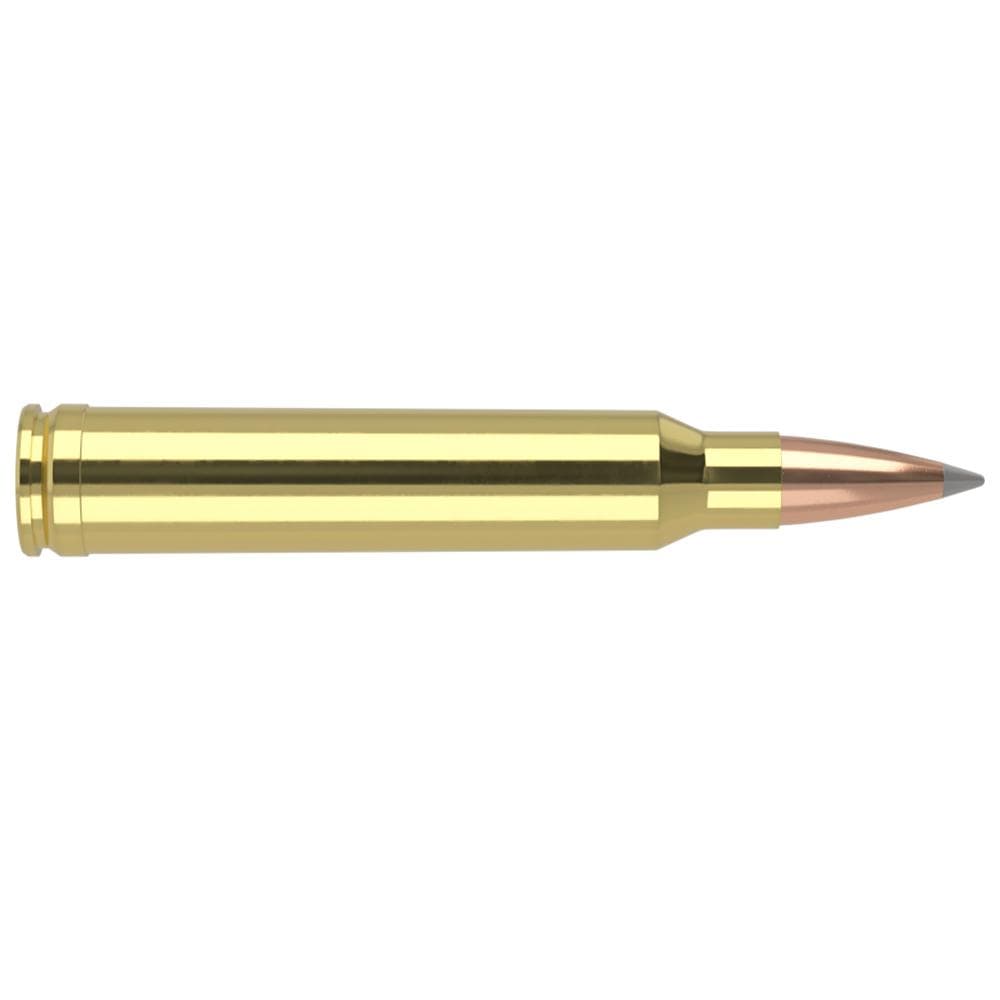 Nosler Accubond Long Range Trophy Grade Rifle Ammunition 300 Win Mag 190 gr PT 2870 fps 20/ct