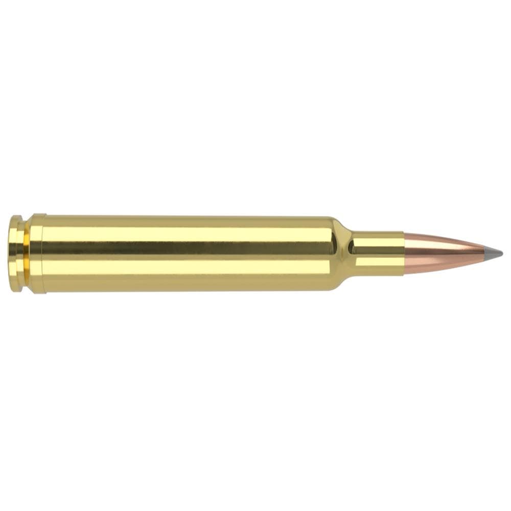 Nosler Accubond Long Range Trophy Grade Rifle Ammunition 30-378 Wby Mag 210 gr PT 3040 fps 20/ct
