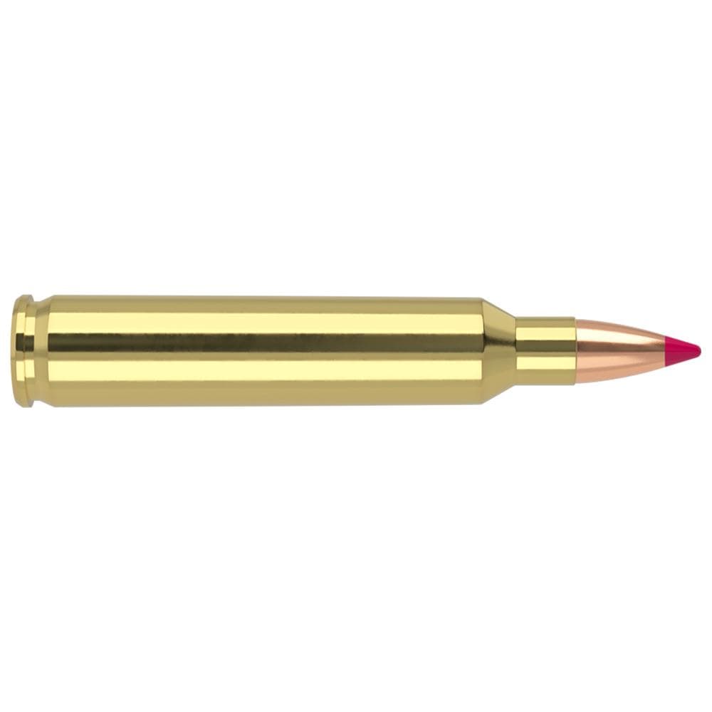 Nosler Ballistic Tip Varmint Rifle Ammunition .204 Ruger 40 gr PT 3625 fps 20/ct