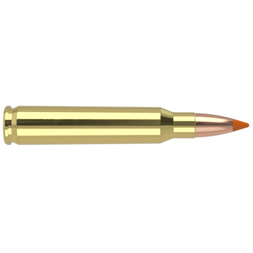 Nosler Ballistic Tip Varmint Rifle Ammunition .223 Rem 55 gr PT 3100 fps 20/ct