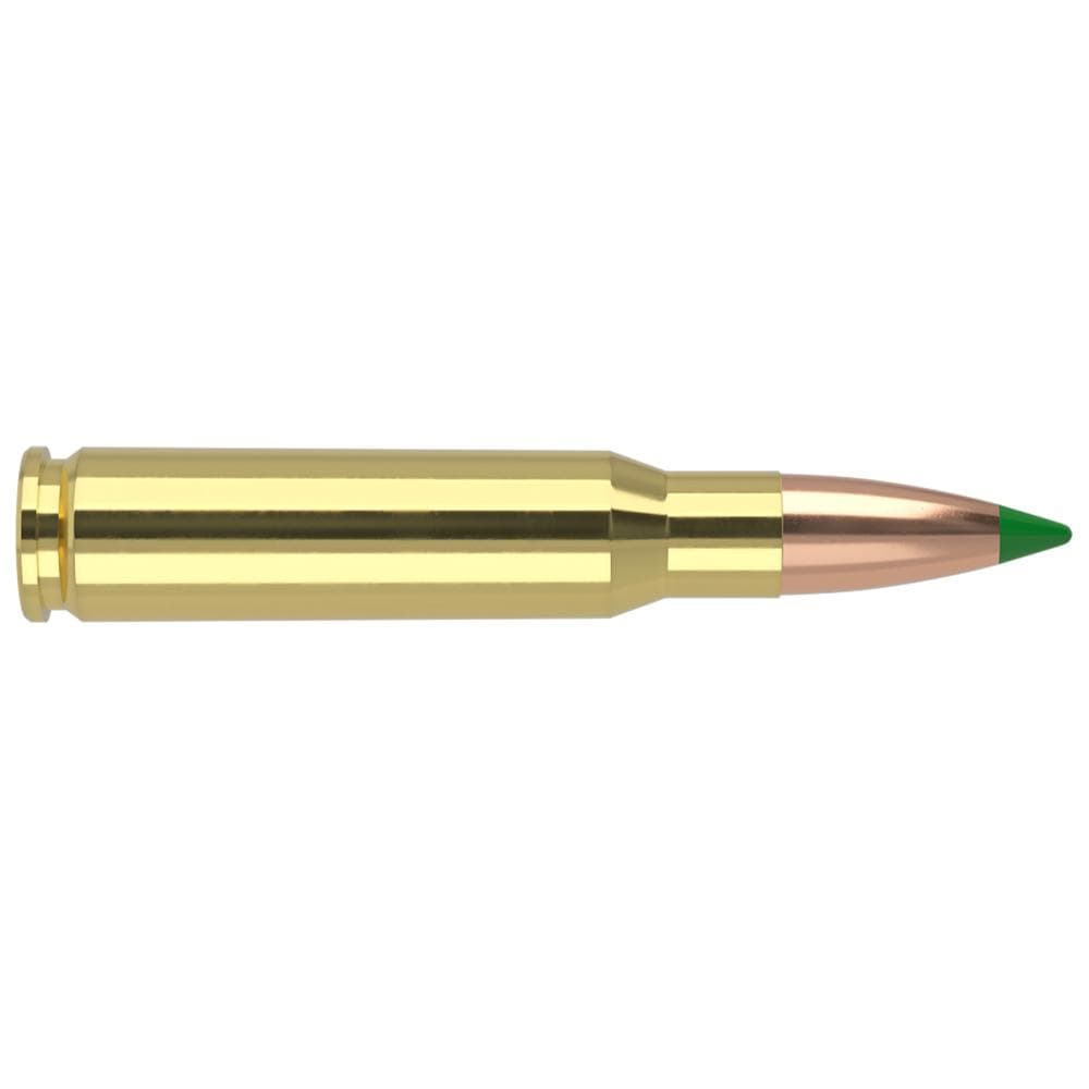 Nosler Ballistic Tip Hunting Rifle Ammunition .308 Win 150gr PT 2800 fps 20/ct