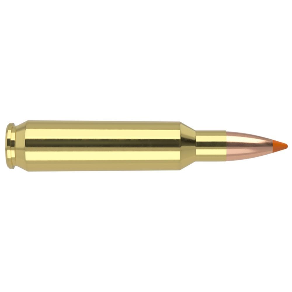 Nosler Ballistic Tip Varmint Rifle Ammunition 22 Nosler 55 gr PT 3500 fps 20/ct