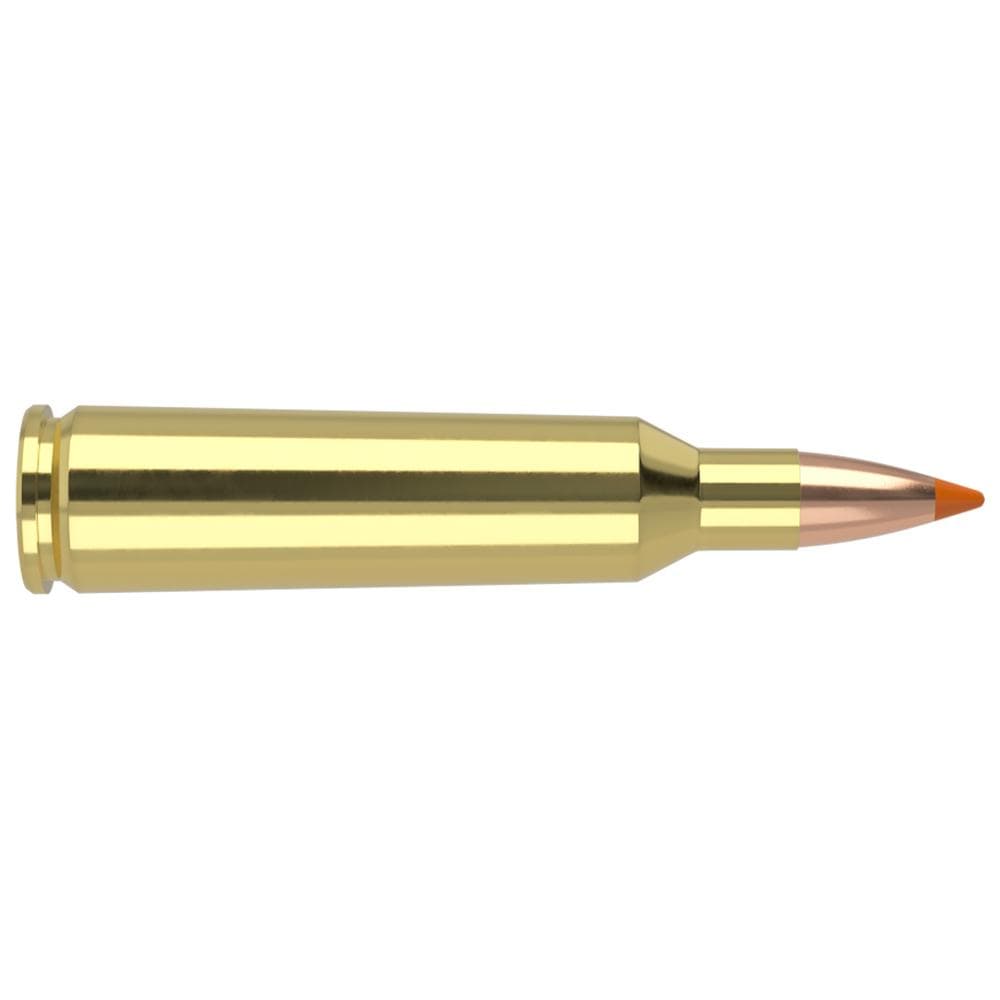 Nosler Ballistic Tip Varmint Rifle Ammunition .22-250 Rem 55gr PT 3550 fps 20/ct