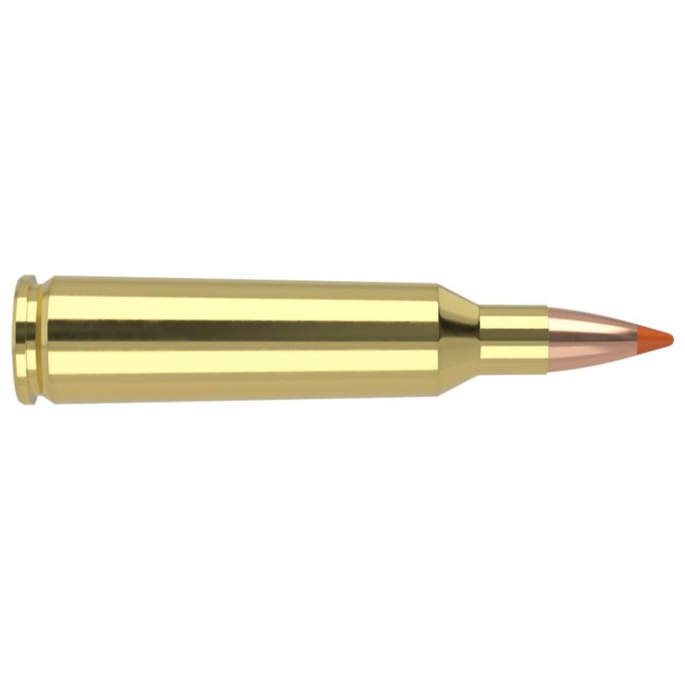 Nosler Lead Free Ballistic Tip Varmint Rifle Ammunition .22-250 Rem 40 gr PT 3950 fps 20/ct