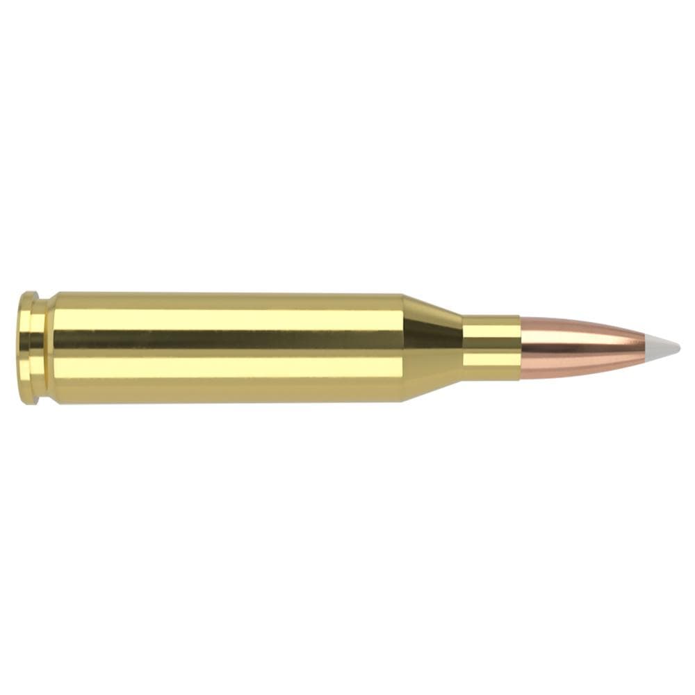 Nosler Trophy Grade Rifle Ammunition .243 Win 100g PSP 2950 fps 20/ct