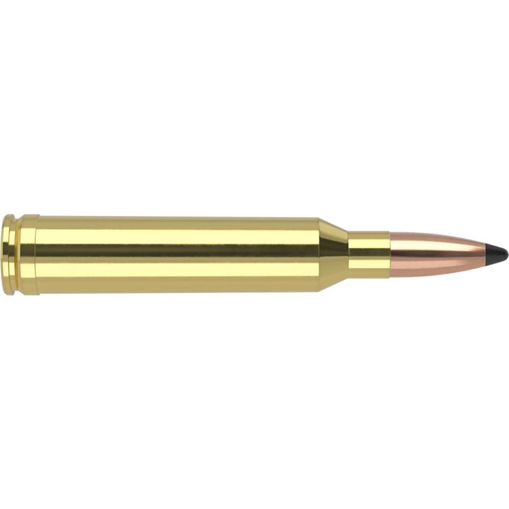 Nosler Ammo Trophy Grade Rifle Ammunition 7mm Rem Mag 160g PSP 2950 fps 20/ct