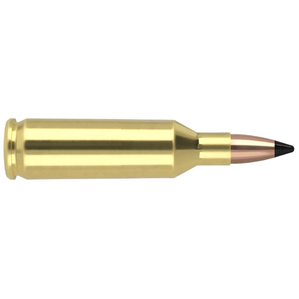 Nosler Varmageddon Rifle Ammunition .17 Rem Fireball 20 gr FB Tipped 4000 fps 20/ct