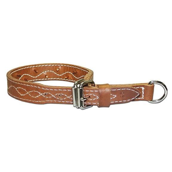 Omnipet Leather Force Collar 1.25" x 27" Brown