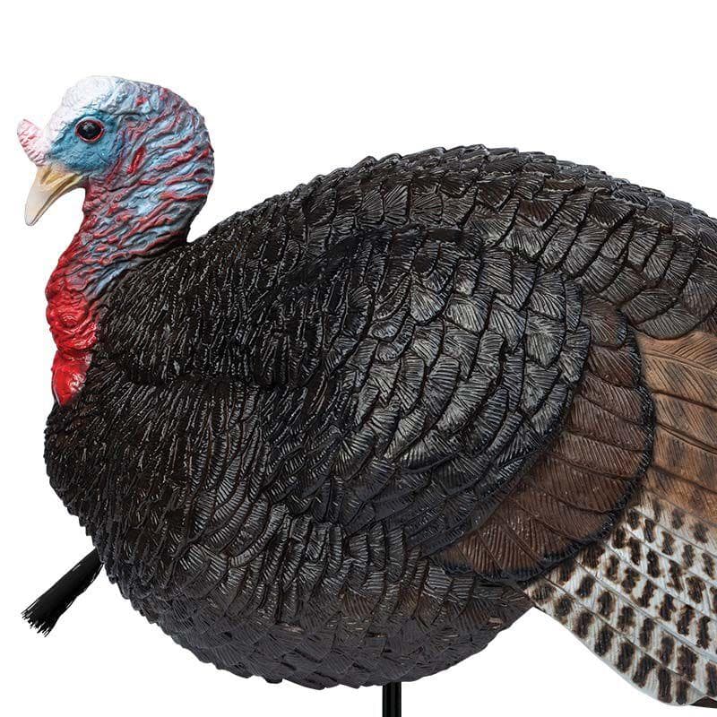 Primos Lil Gobstopper Jake Turkey Decoy