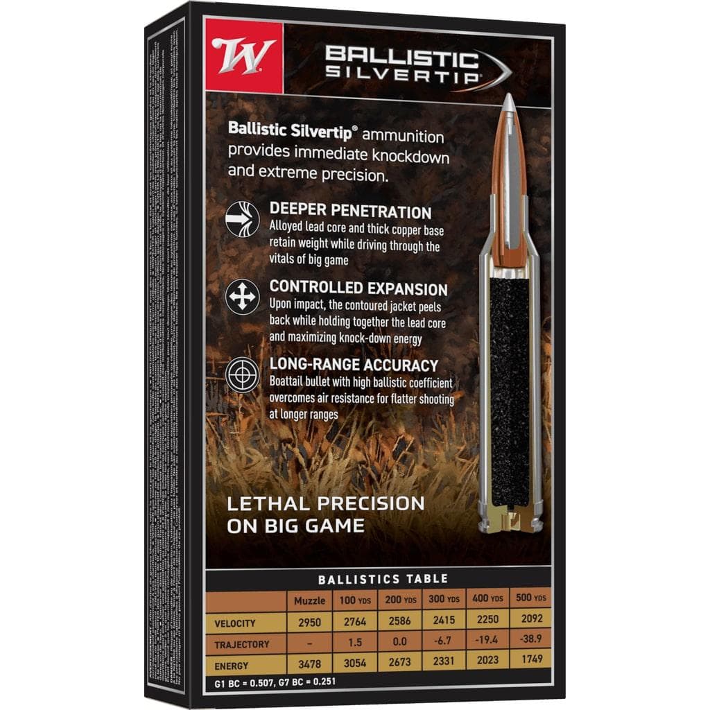 Winchester Ballistic Silvertip Rifle Ammunition .300 Win Mag 180 gr. PT 2950 fps 20/ct