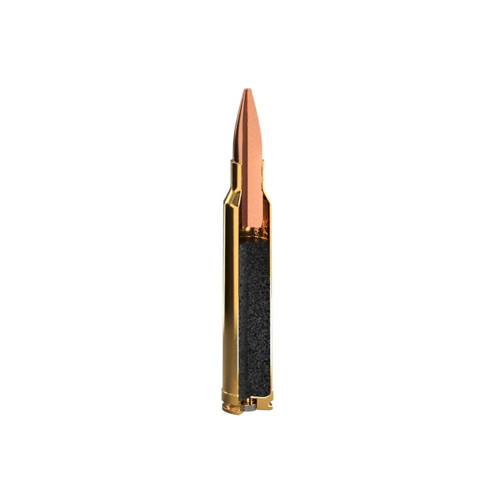 Sig Sauer Elite Hunting Rifle Ammunition .300 Win Mag 165 gr HP 20/ct