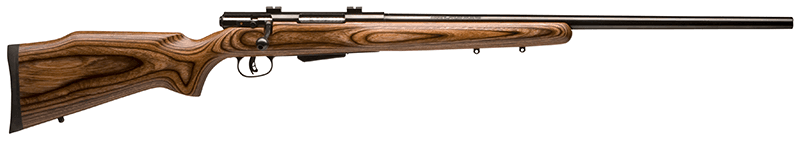 Savage Arms 25 Lightweight Varmint