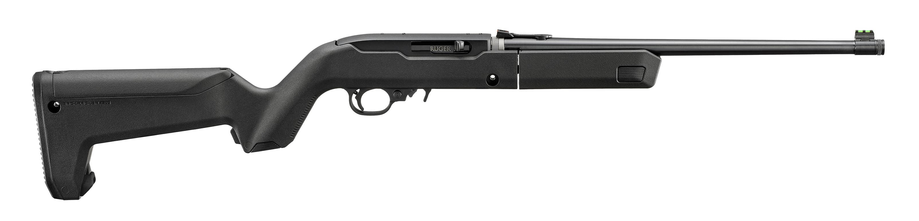 Ruger 10/22 Takedown