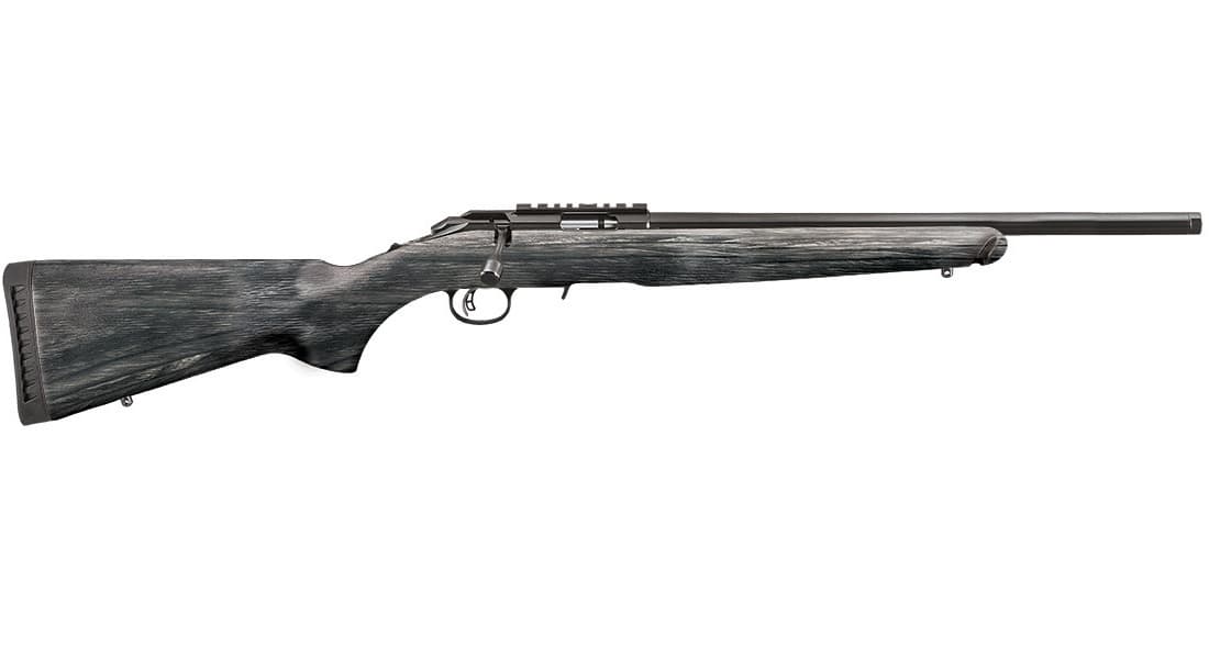 Ruger American Rifle Target