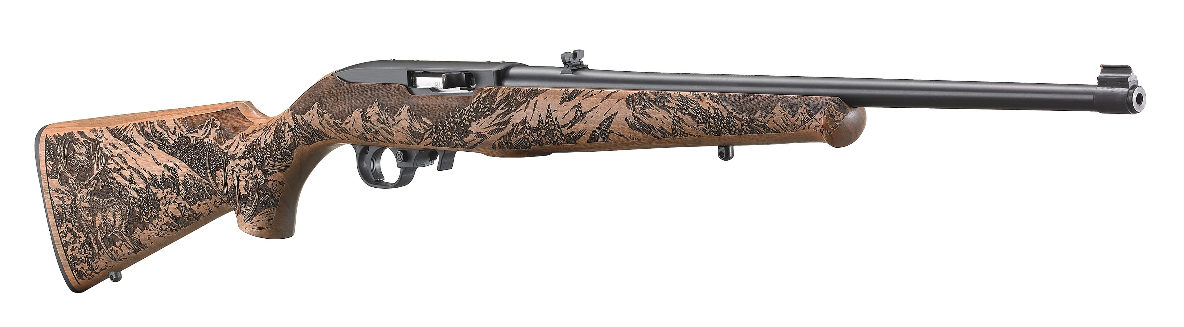Ruger 10/22 Carbine