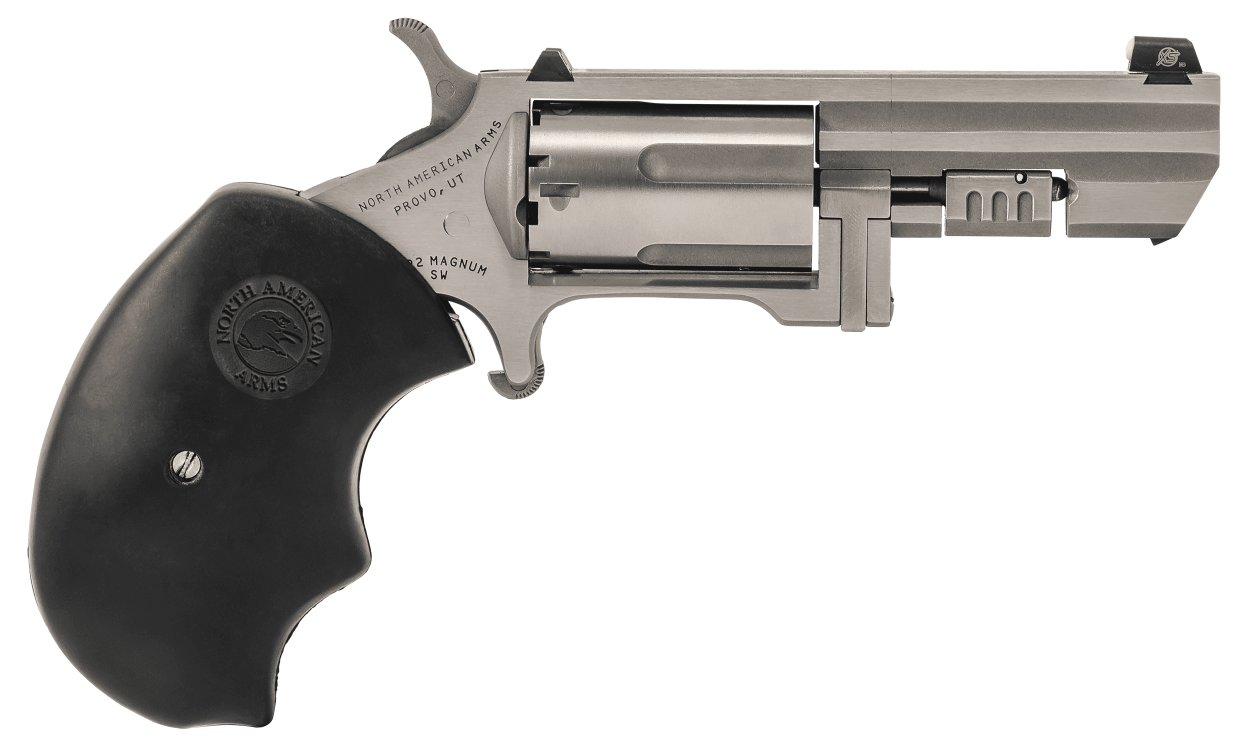 North American Arms Recluse