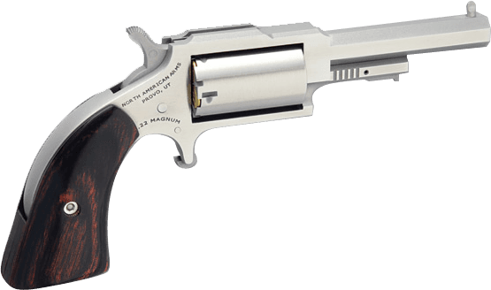 North American Arms Sheriff