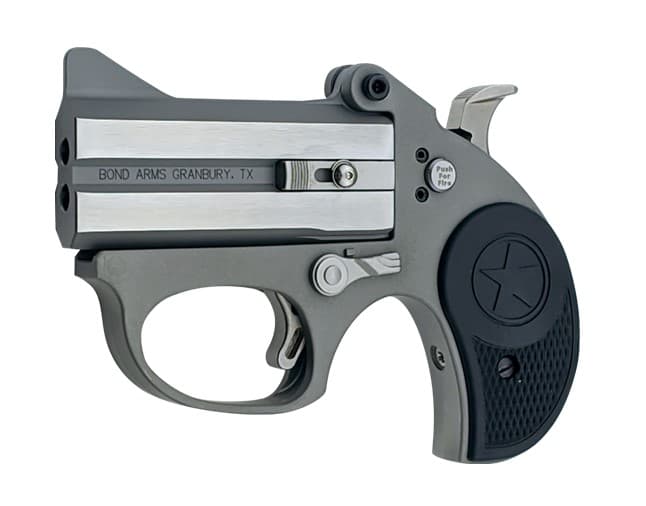 Bond Arms Stinger Rough Stainless