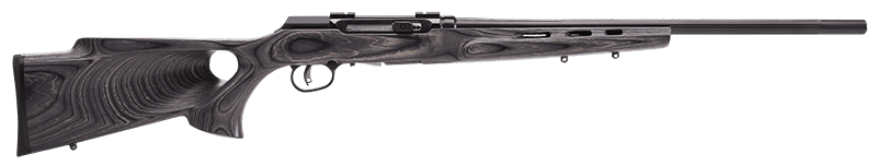 Savage Arms A22