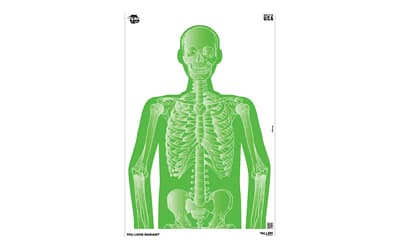 Allen Company Imposing Figures EZ Aim, Paper Targets, 8 Pack, 12"X18", Assorted Colors