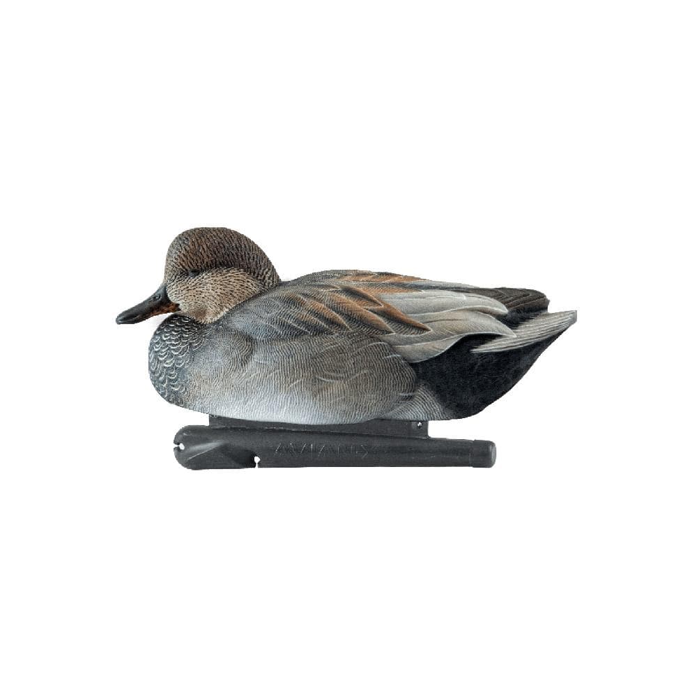 Avian-X Topflight Decoys Gadwall 6/ct