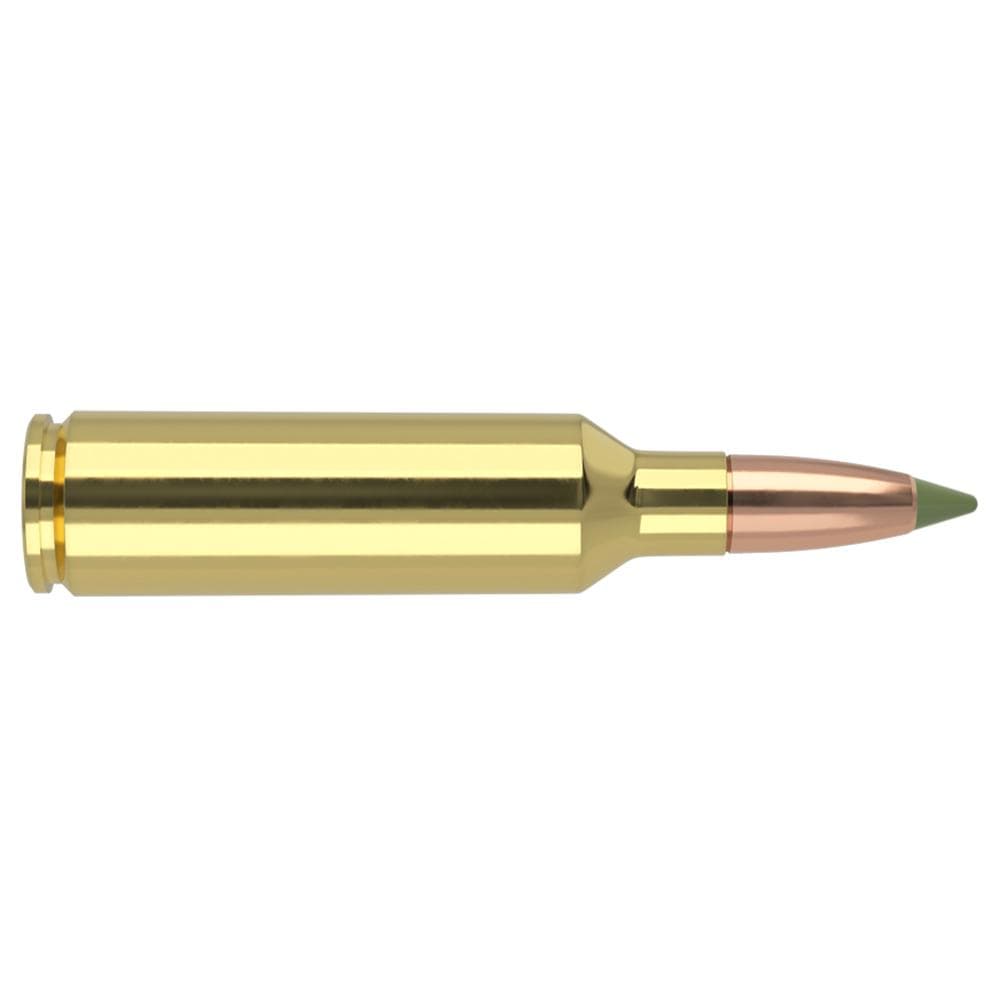 Nosler E-Tip Rifle Ammunition 270 WSM 130 gr ETIP 3200 fps 20/ct