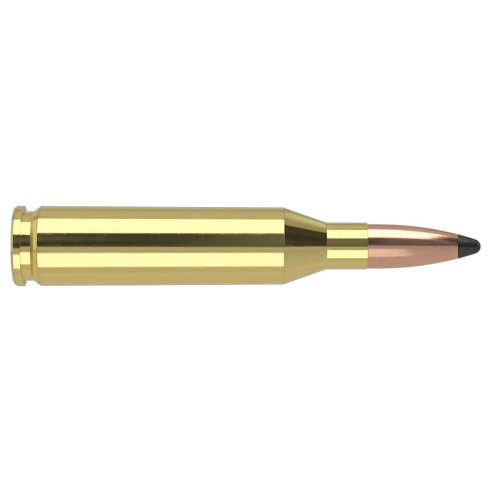 Nosler Partition Trophy Grade Rifle Ammunition .243 Win 85 gr PSP 3225 fps 20/ct