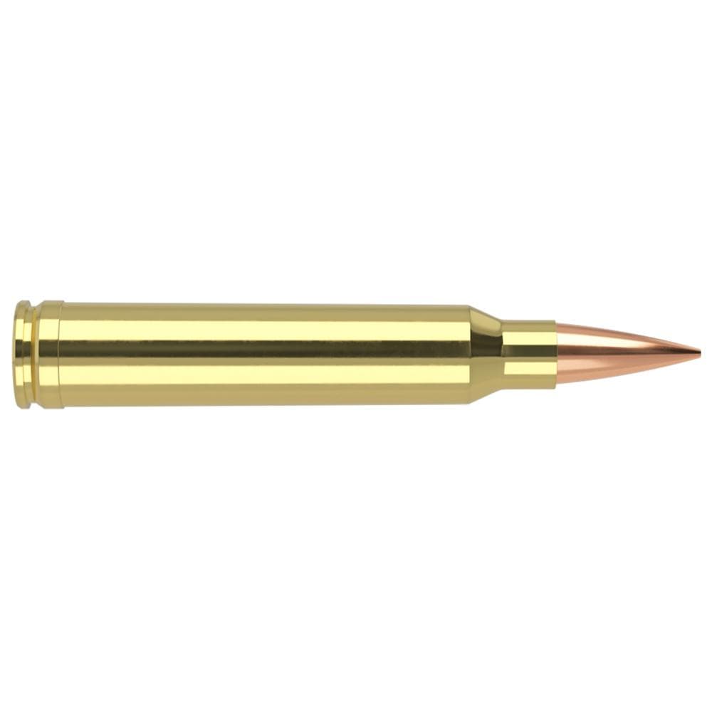 Nosler Accubond Long Range Trophy Grade Rifle Ammunition .300 WSM 190 gr PT 2875 fps 20/ct