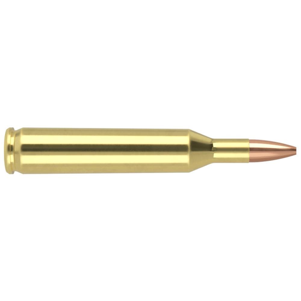 Nosler Varmegeddon Rifle Ammunition .17 Rem 20 gr FBHP 3550 fps 20/ct