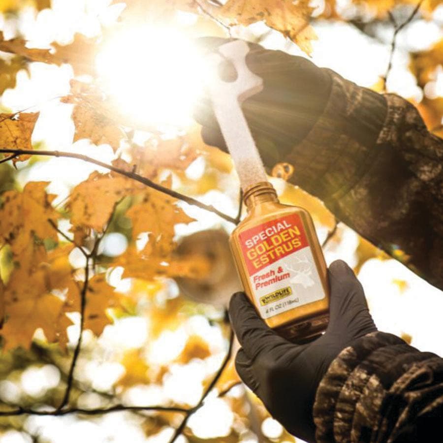 Wildlife Research Special Golden Estrus - Fresh & Super Premium Whitetail Doe Urine with Estrus Secretions 1 FL OZ