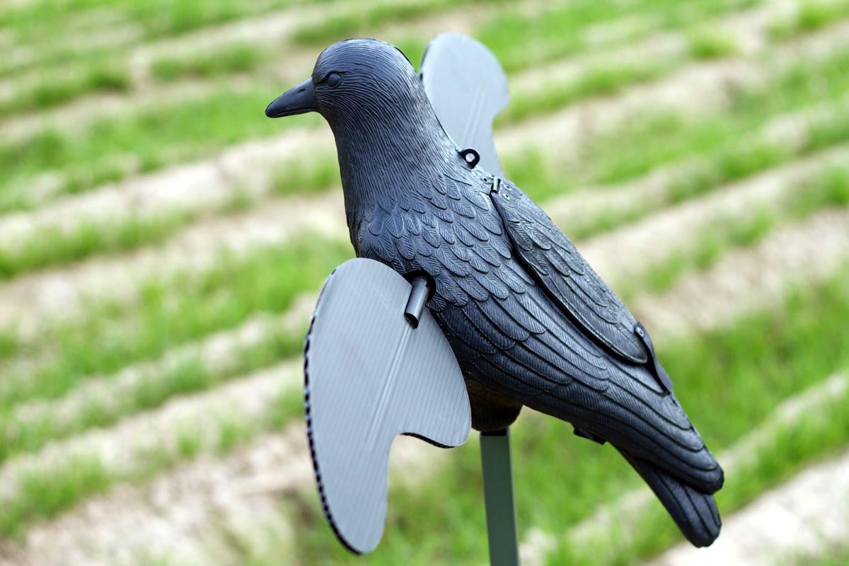 MOJO Motion Decoy Crow JUHW2402-img-0