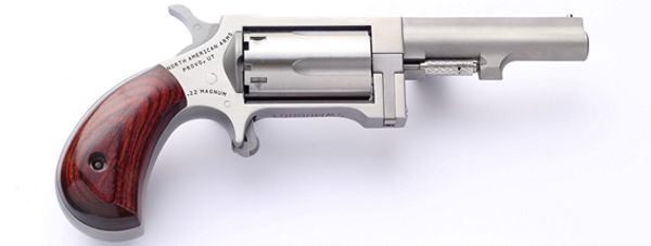 North American Arms Sidewinder