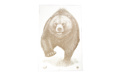 Action Target Alaska State Parks Bear Target, 23"x35", 100 Per Box