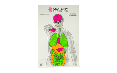 Action Target Anatomy Training Target, Multi Color, 23"x35", 100 Per Box